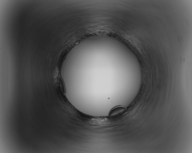 X0000088650480200705250945