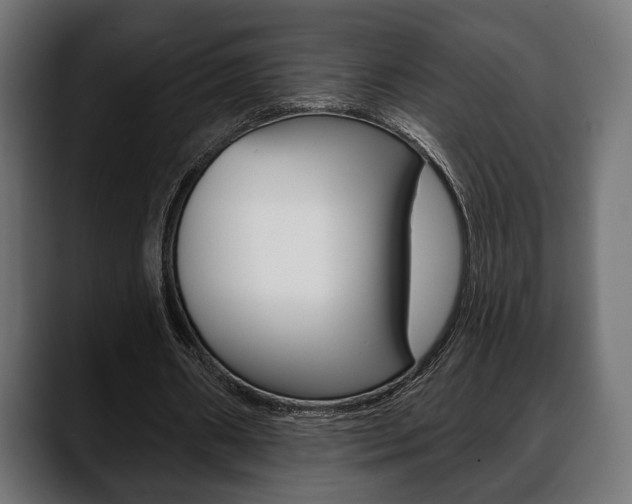 X0000088650482200705250945
