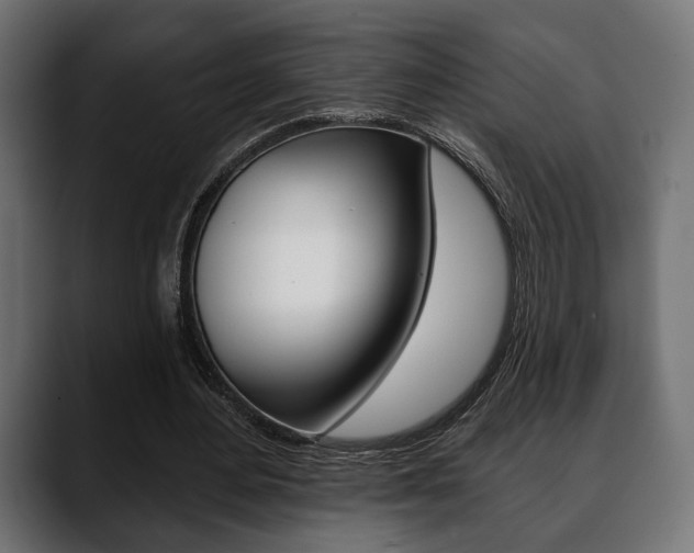 X0000088650484200705250945