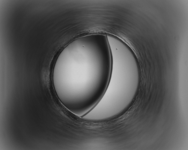 X0000088650485200705250945