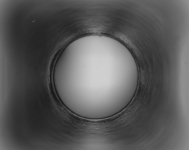 X0000088650486200705250945