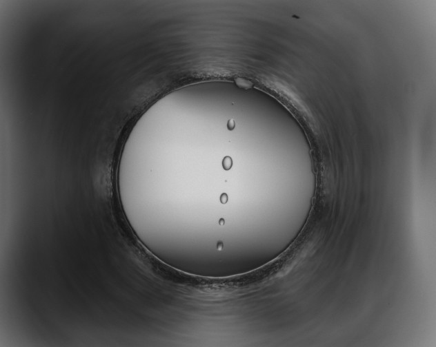 X0000088650489200705250945