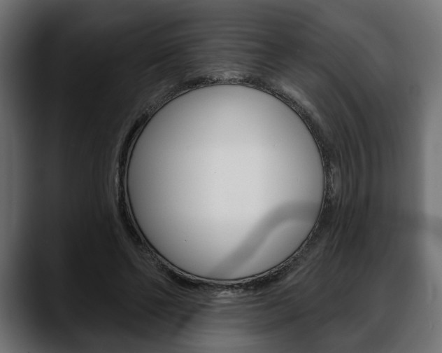 X0000088650494200705250945