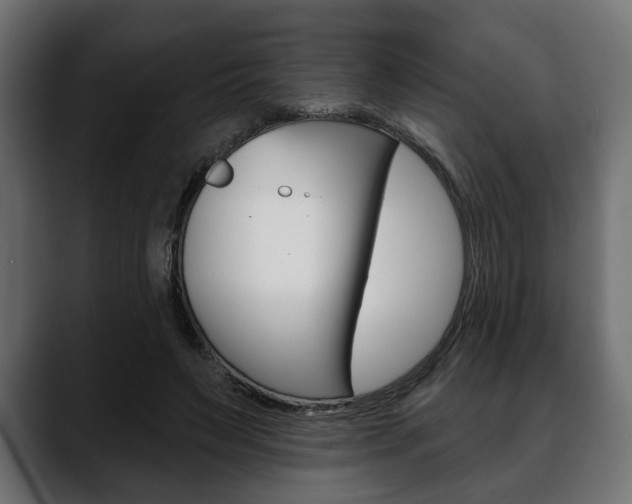 X0000088650495200705250945