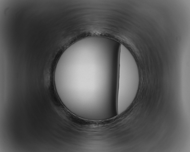 X0000088650496200705250945