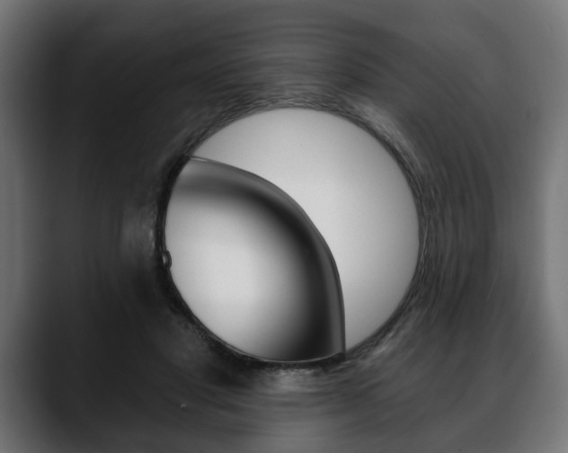 X0000088650501200705250944