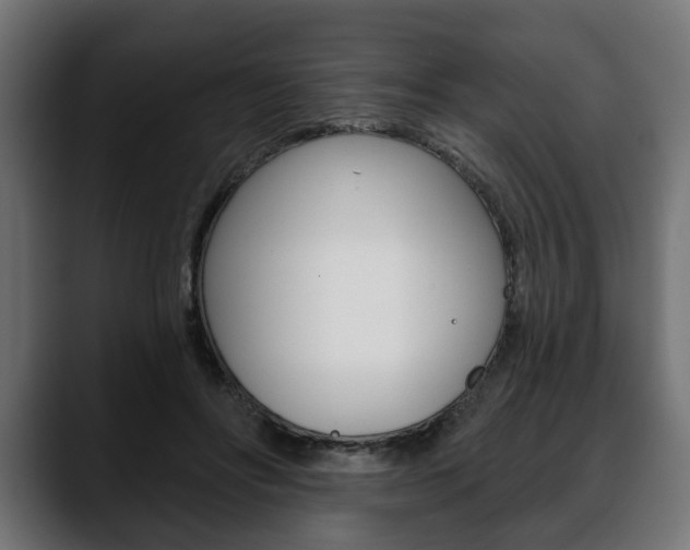 X0000088650502200705250944