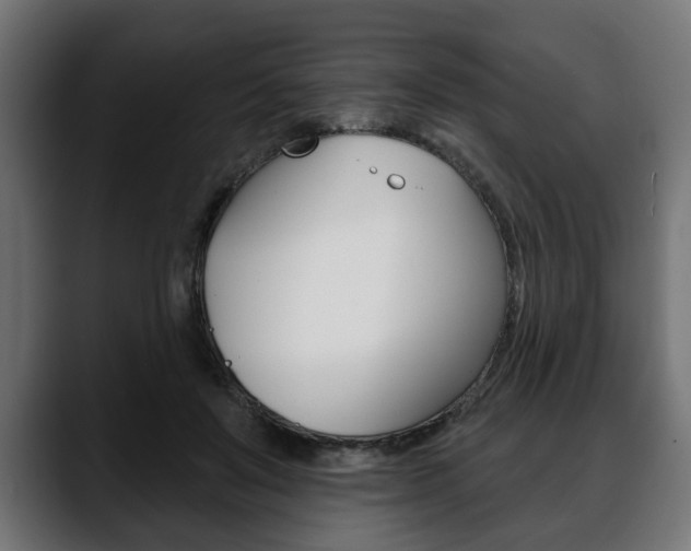 X0000088650503200705250944