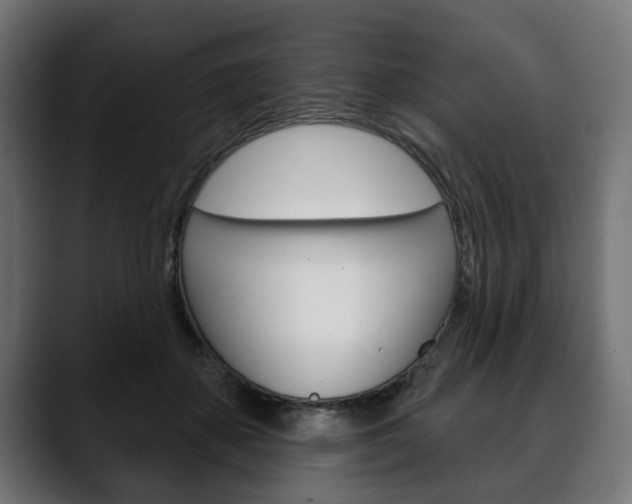X0000088650507200705250944