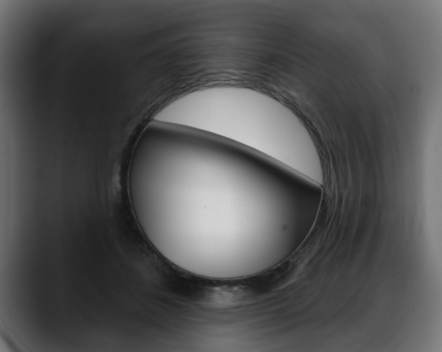 X0000088650508200705250944