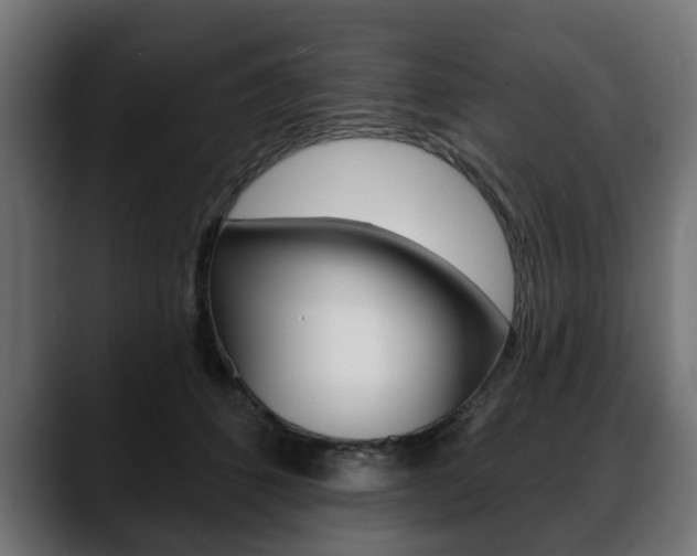 X0000088650512200705250944