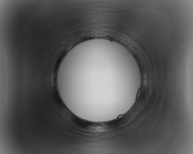X0000088650514200705250944
