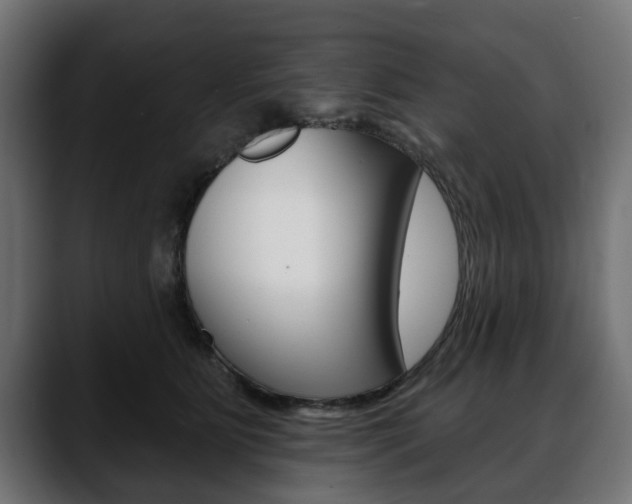 X0000088650515200705250944
