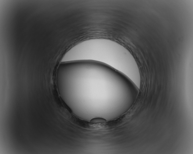 X0000088650516200705250944