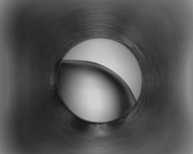 X0000088650517200705250944