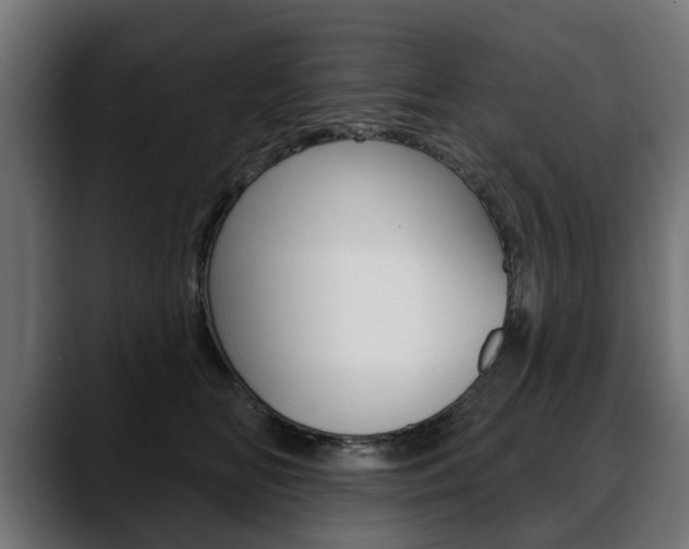 X0000088650518200705250944