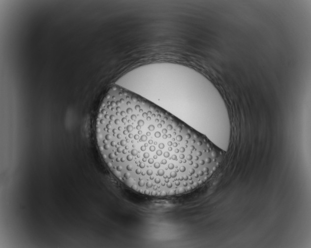 X0000088650519200705250944