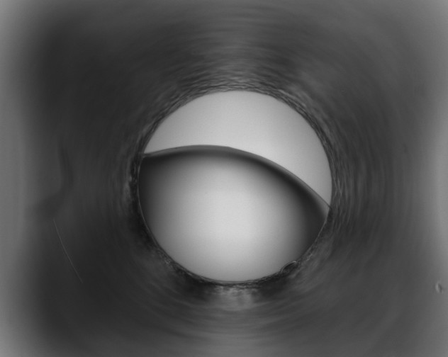 X0000088650520200705250944