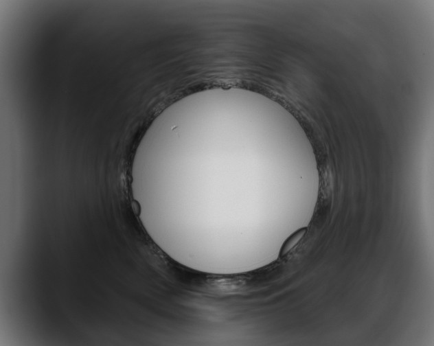 X0000088650522200705250944