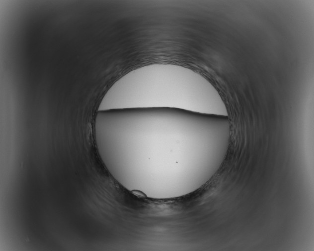 X0000088650523200705250944