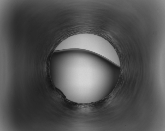 X0000088650524200705250944