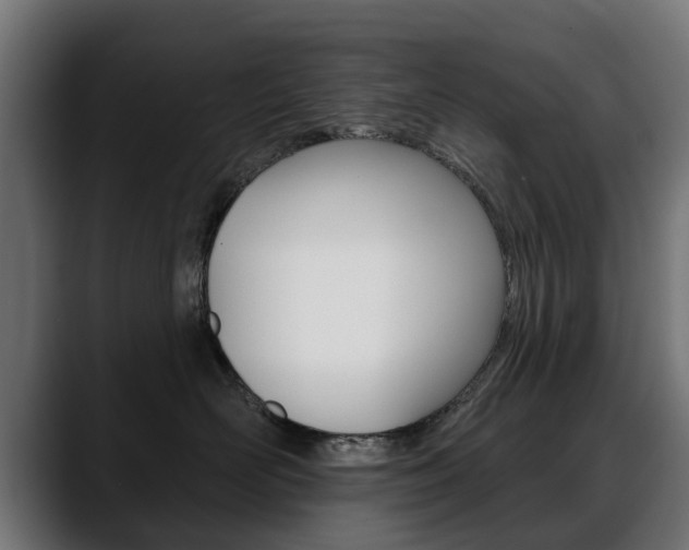 X0000088650526200705250944
