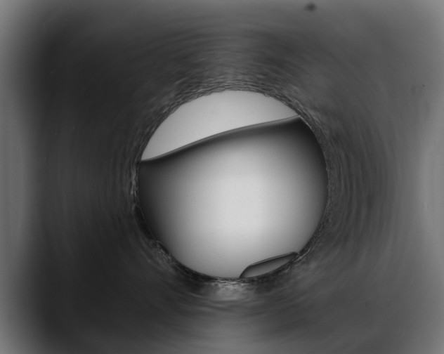 X0000088650528200705250944