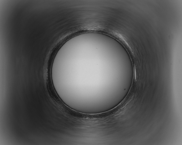 X0000088650531200705250943