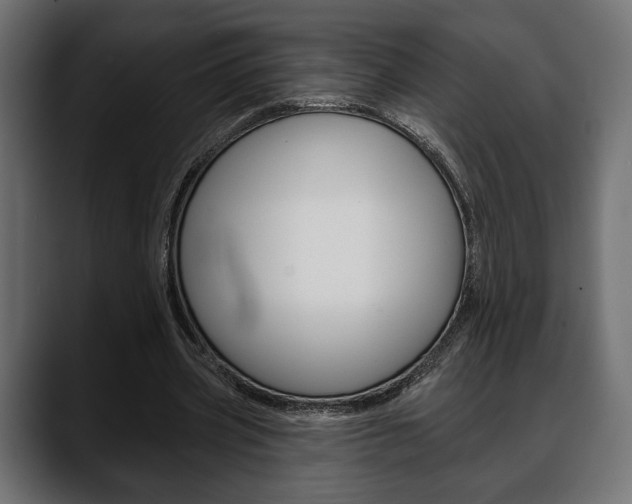 X0000088650533200705250944