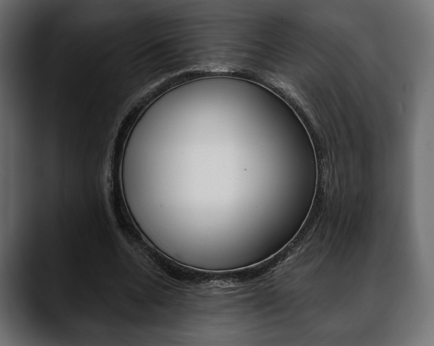 X0000088650536200705250944
