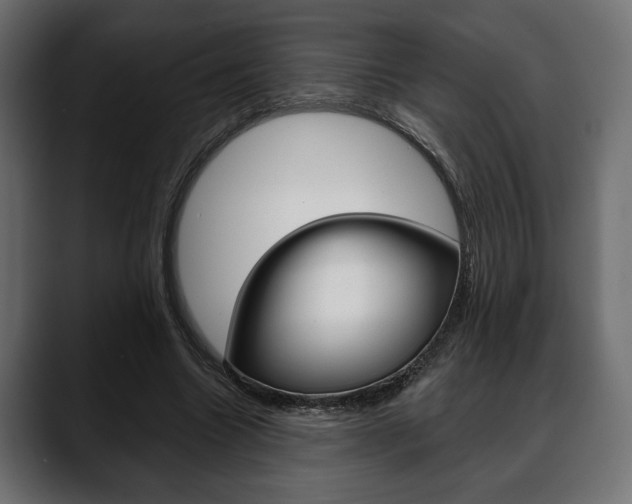 X0000088650538200705250944