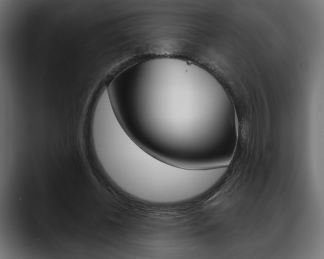 X0000088650540200705250944