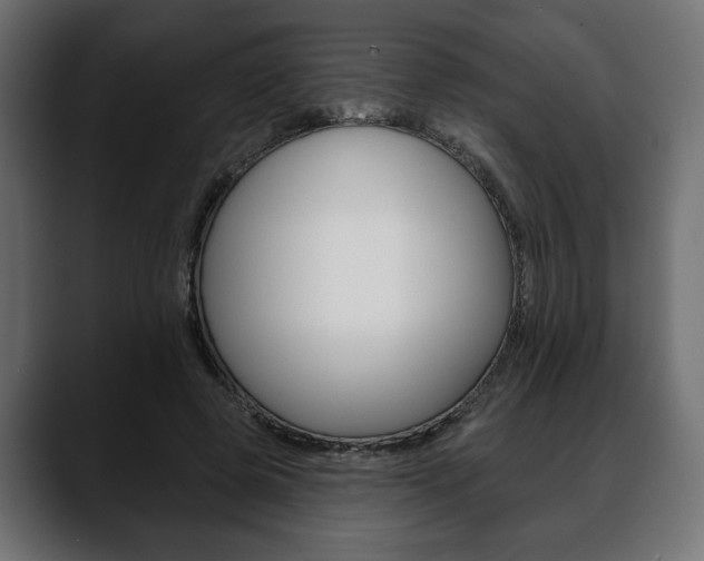 X0000088650545200705250944
