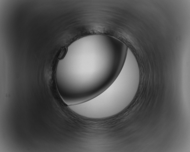 X0000088650548200705250944