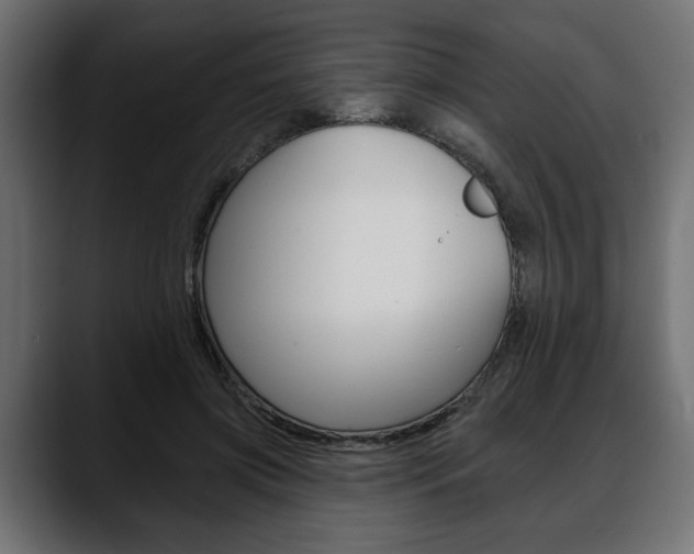 X0000088650549200705250944