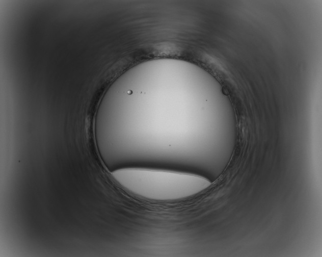 X0000088650550200705250944