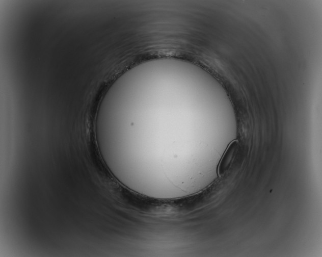 X0000088650551200705250944
