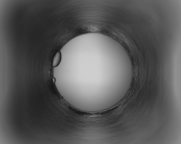 X0000088650553200705250944