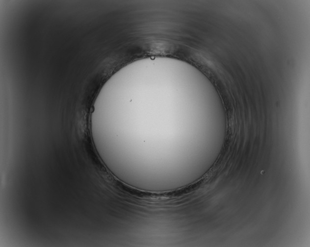 X0000088650554200705250944