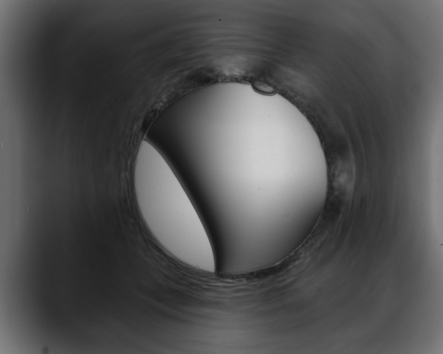 X0000088650559200705250944