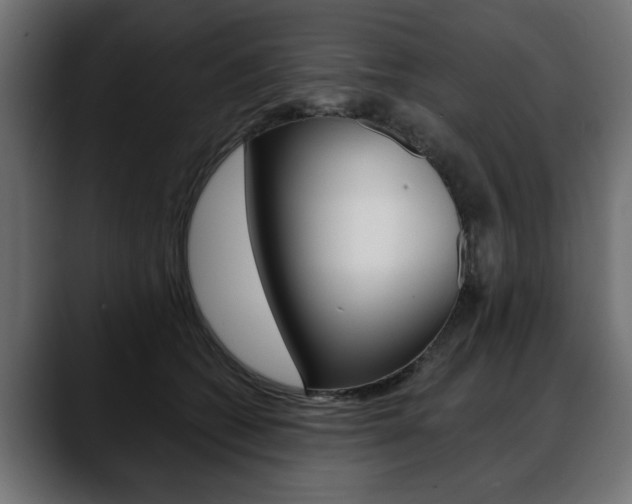X0000088650562200705250944