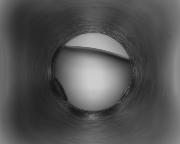 X0000088650564200705250944