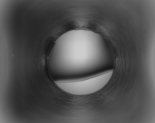X0000088650570200705250944