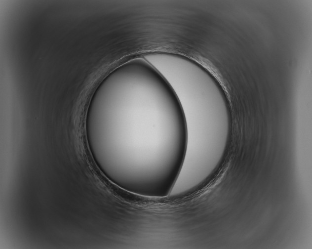 X0000088650577200705250943