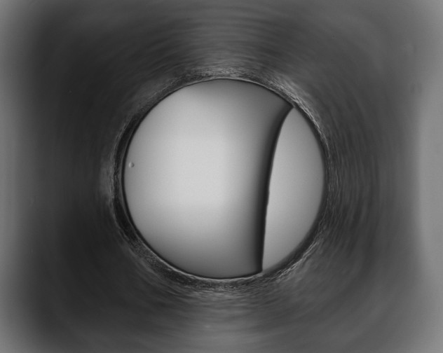 X0000088650578200705250943