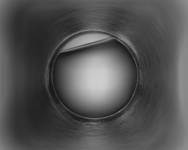 X0000088650580200705250943