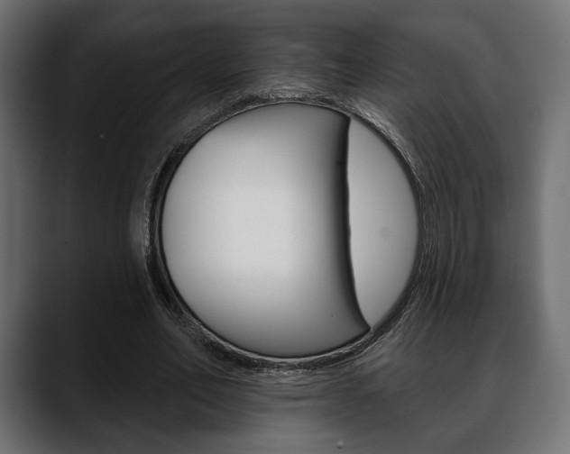 X0000088650582200705250943