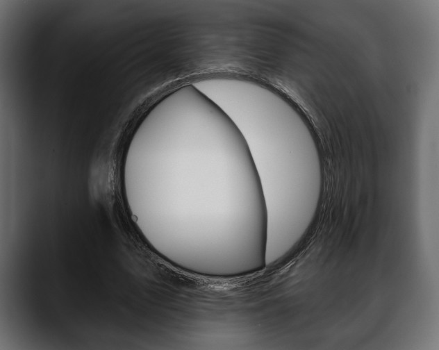 X0000088650583200705250943