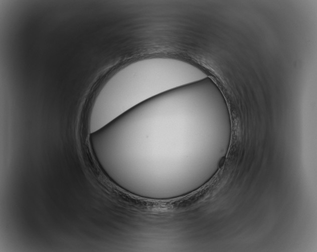 X0000088650587200705250943