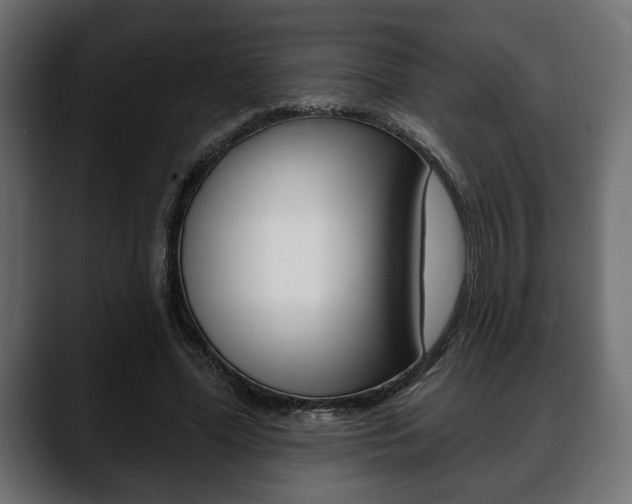 X0000088650588200705250943
